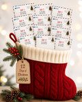12 Days of Christmas Encouragement Gift Pack